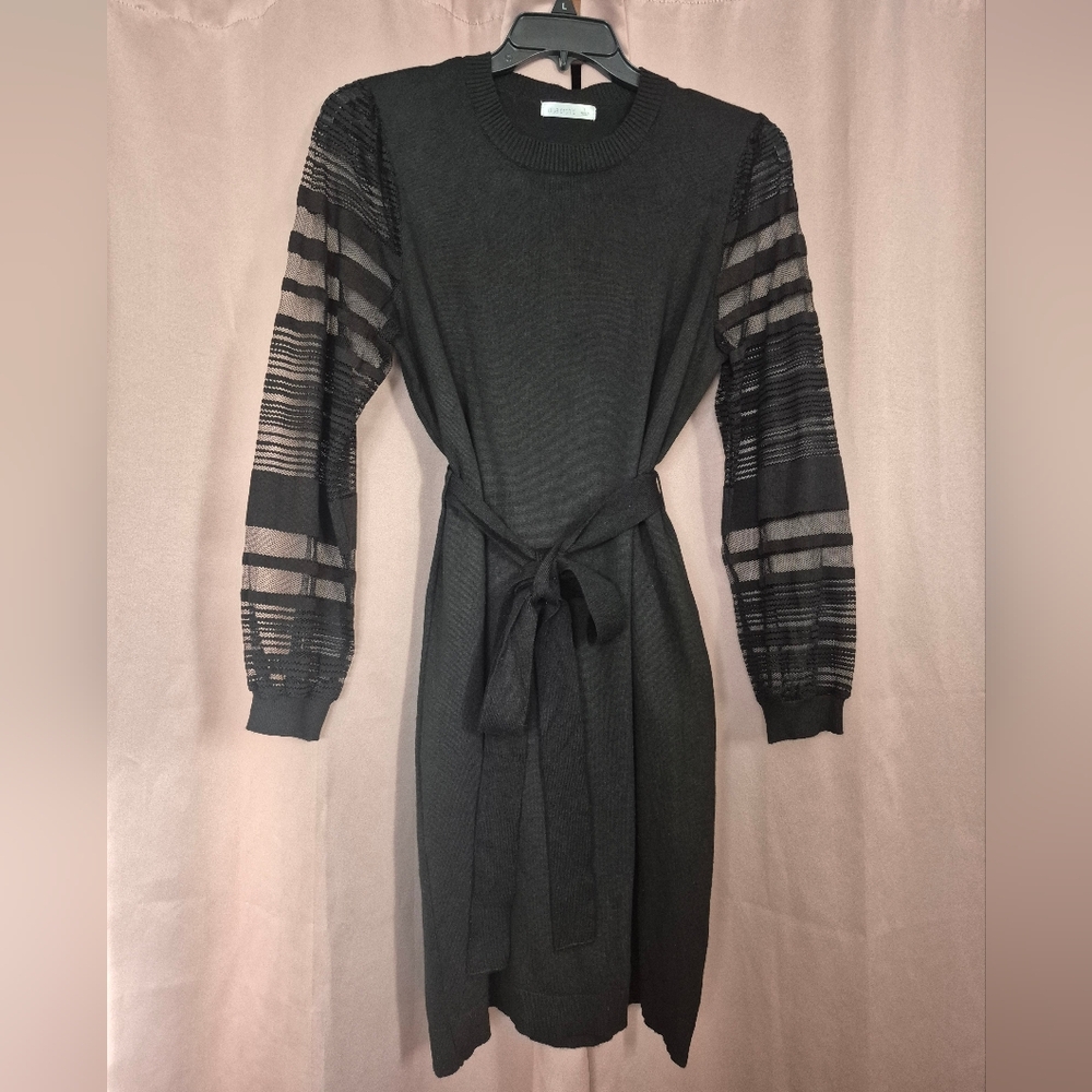Blue Orchid Black Dress with Sheer Statement  Sleeves